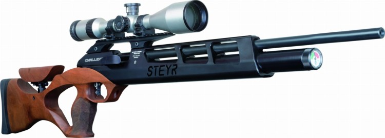 Steyr_Challenge_Hunting_-_1.jpg