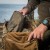 52942ea960fa87414237299845b2630b