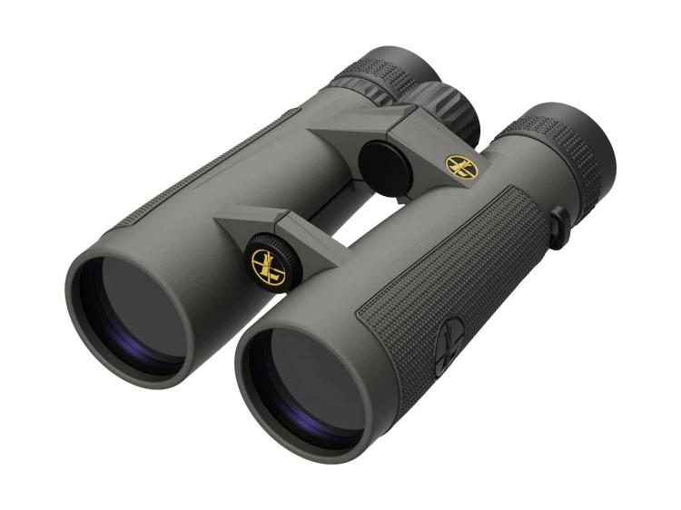 f1f63fb54bcbb147f4fc1977947e5b7c