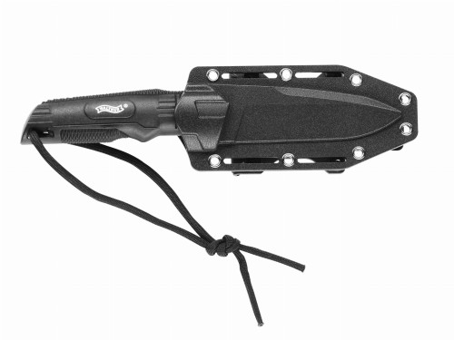 77ca27923f7287b04b4811a118afd3c7